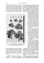 giornale/UM10003065/1935/unico/00000612