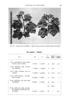 giornale/UM10003065/1935/unico/00000613