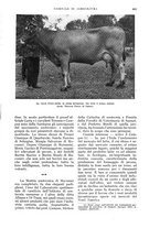 giornale/UM10003065/1935/unico/00000635