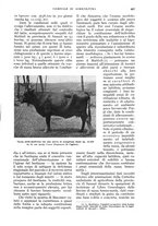 giornale/UM10003065/1935/unico/00000639