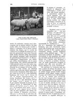 giornale/UM10003065/1935/unico/00000640