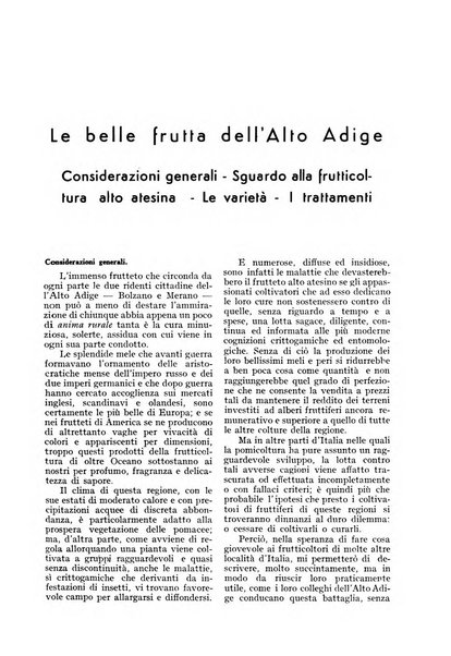 L'Italia agricola