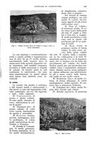 giornale/UM10003065/1935/unico/00000673