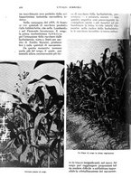 giornale/UM10003065/1935/unico/00000686