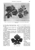 giornale/UM10003065/1935/unico/00000703
