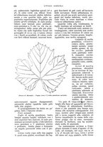 giornale/UM10003065/1935/unico/00000720