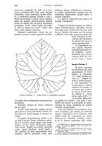 giornale/UM10003065/1935/unico/00000724