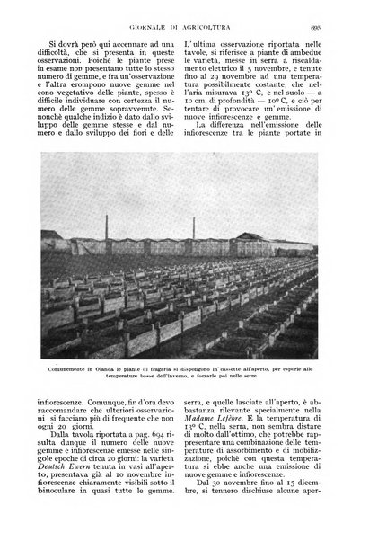 L'Italia agricola