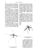 giornale/UM10003065/1935/unico/00000784