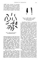 giornale/UM10003065/1935/unico/00000785