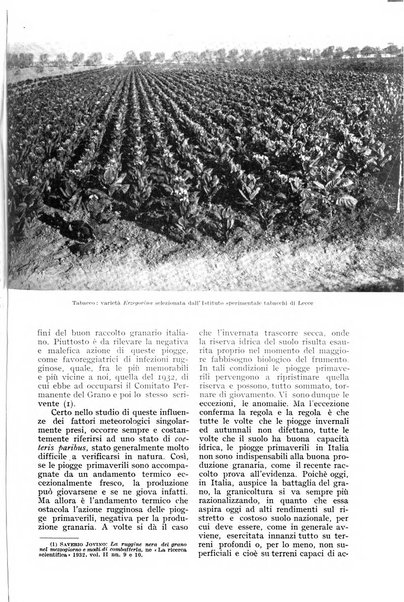 L'Italia agricola