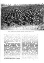 giornale/UM10003065/1935/unico/00000839