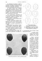 giornale/UM10003065/1935/unico/00000858