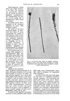 giornale/UM10003065/1935/unico/00000871