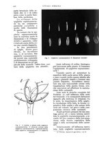 giornale/UM10003065/1935/unico/00000872