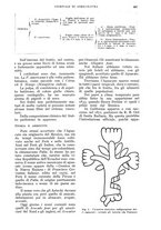 giornale/UM10003065/1935/unico/00000911