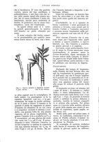 giornale/UM10003065/1935/unico/00000914