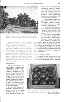 giornale/UM10003065/1935/unico/00000917