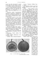 giornale/UM10003065/1935/unico/00000922