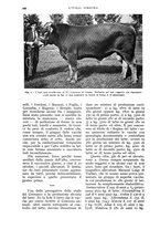 giornale/UM10003065/1935/unico/00000940