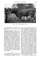 giornale/UM10003065/1935/unico/00000941