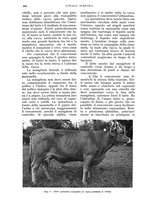 giornale/UM10003065/1935/unico/00000944