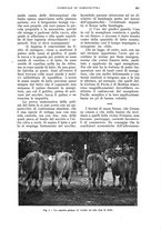 giornale/UM10003065/1935/unico/00000945