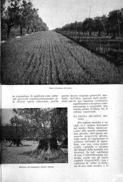 L'Italia agricola