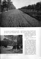 giornale/UM10003065/1935/unico/00001019