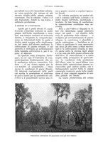giornale/UM10003065/1935/unico/00001020