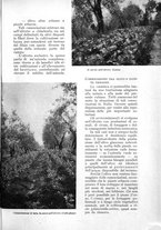 giornale/UM10003065/1935/unico/00001023