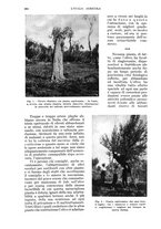 giornale/UM10003065/1935/unico/00001058