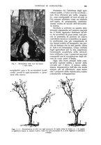 giornale/UM10003065/1935/unico/00001059