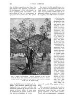 giornale/UM10003065/1935/unico/00001064
