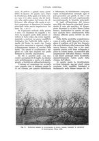 giornale/UM10003065/1935/unico/00001066