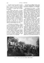 giornale/UM10003065/1935/unico/00001068