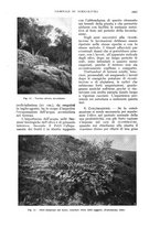 giornale/UM10003065/1935/unico/00001069