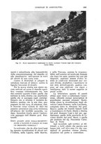 giornale/UM10003065/1935/unico/00001071