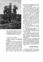 giornale/UM10003065/1935/unico/00001072