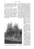 giornale/UM10003065/1935/unico/00001076