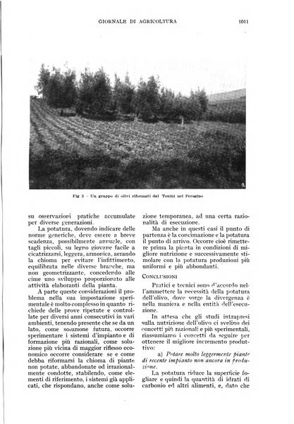 L'Italia agricola