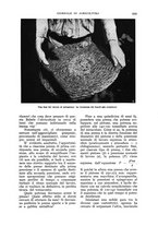 giornale/UM10003065/1935/unico/00001103