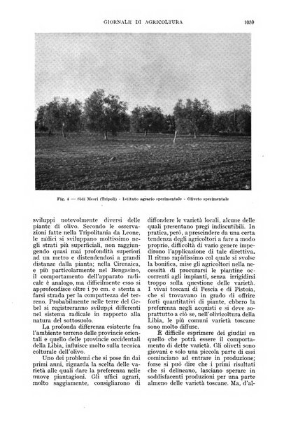 L'Italia agricola