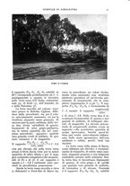 giornale/UM10003065/1936/unico/00000023