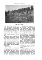 giornale/UM10003065/1936/unico/00000037