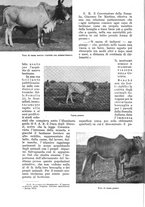 giornale/UM10003065/1936/unico/00000046