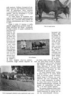giornale/UM10003065/1936/unico/00000047