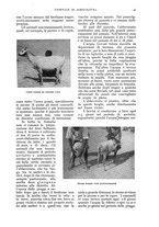 giornale/UM10003065/1936/unico/00000055