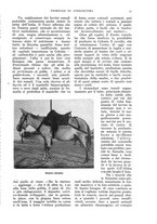 giornale/UM10003065/1936/unico/00000059