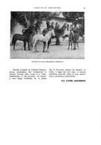 giornale/UM10003065/1936/unico/00000061